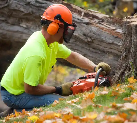 tree services Roselle Park